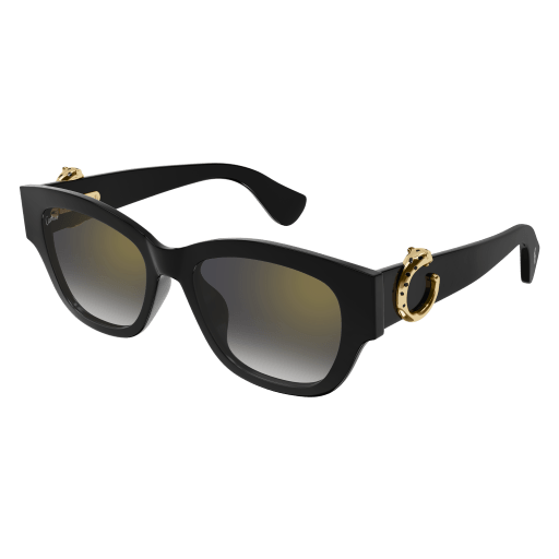 Cartier CT0548SA 001 55