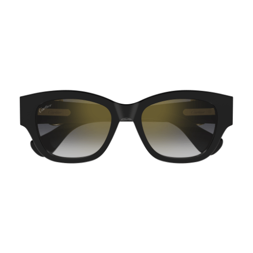 Cartier CT0548SA 001 55