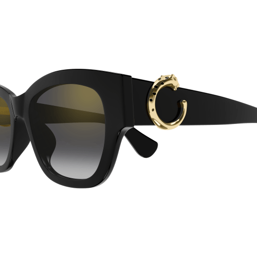 Cartier CT0548SA 001 55