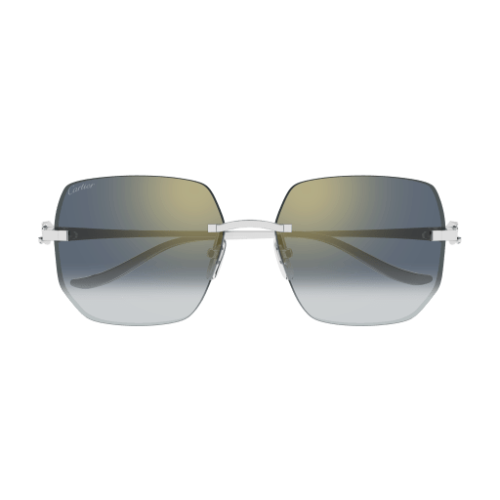 Cartier CT0549S 003 57