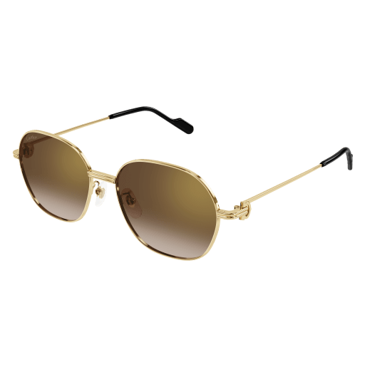 Cartier CT0569SA 002 55