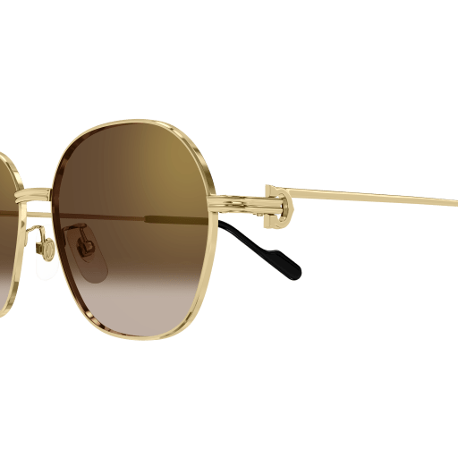 Cartier CT0569SA 002 55