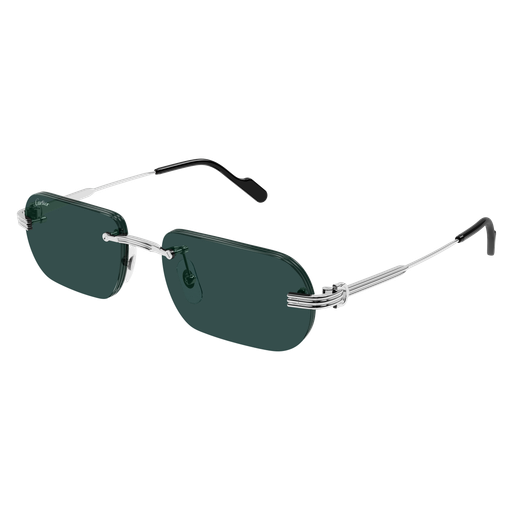 Cartier CT0577S 002 55