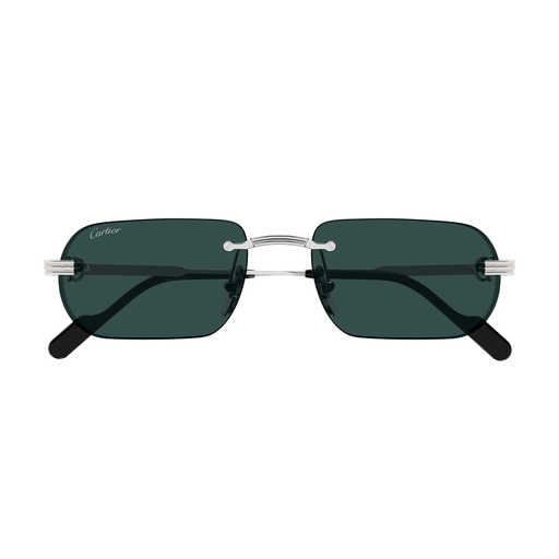 Cartier CT0577S 002 55