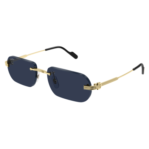 Cartier CT0577S 003 55