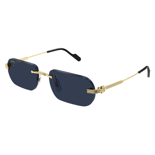 Cartier CT0577S 003 55