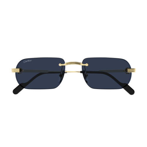 Cartier CT0577S 003 55
