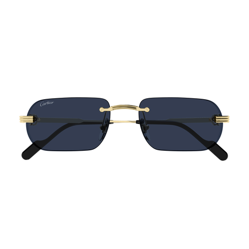 Cartier CT0577S 003 55