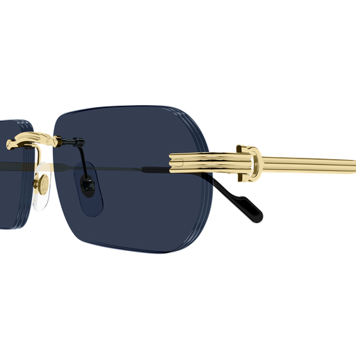 Cartier CT0577S 003 55
