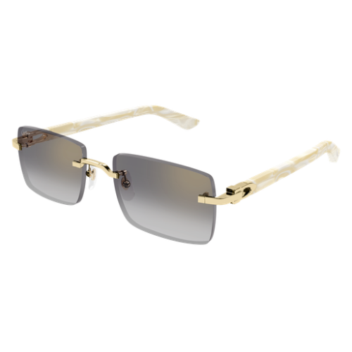 Cartier CT0579S 007 57