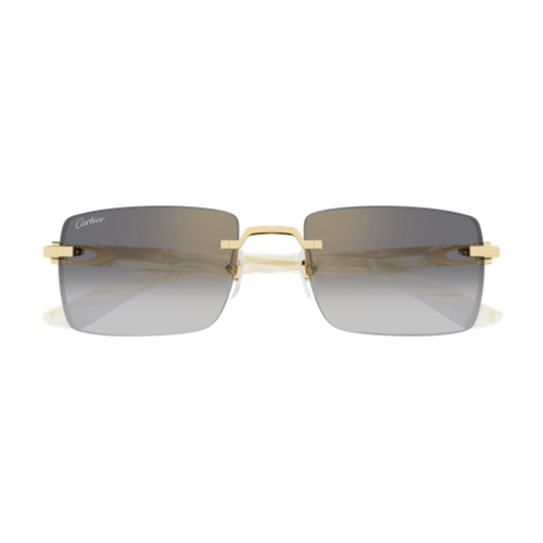 Cartier CT0579S 007 57