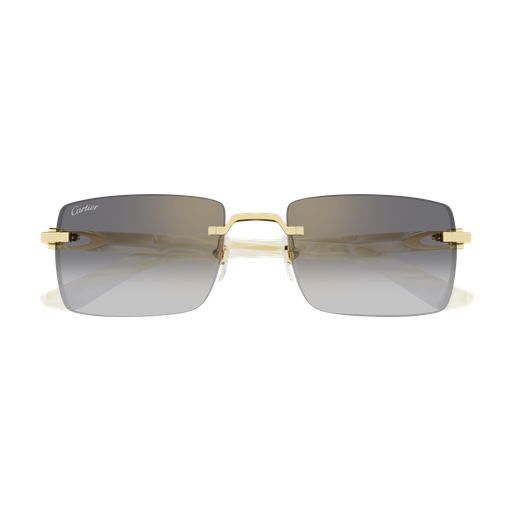 Cartier CT0579S 007 57