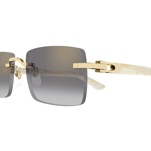 Cartier CT0579S 007 57