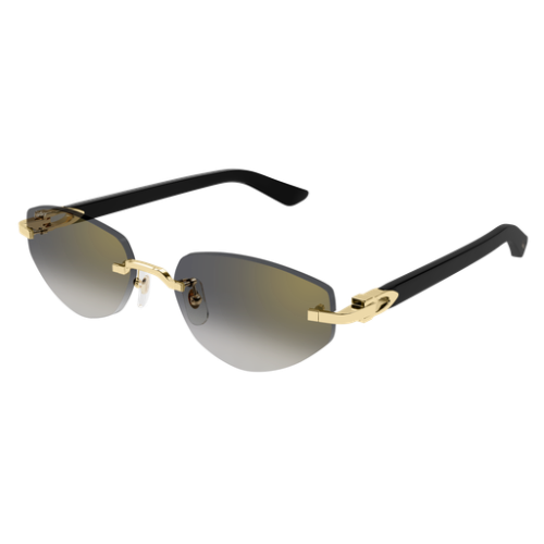 Cartier CT0580S 001 56