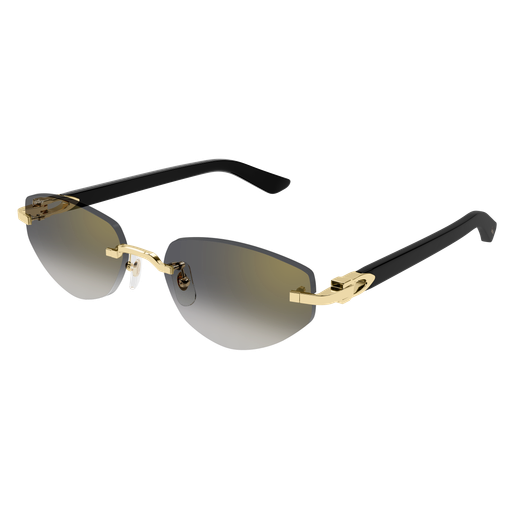 Cartier CT0580S 001 56