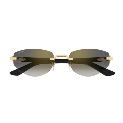 Cartier CT0580S 001 56