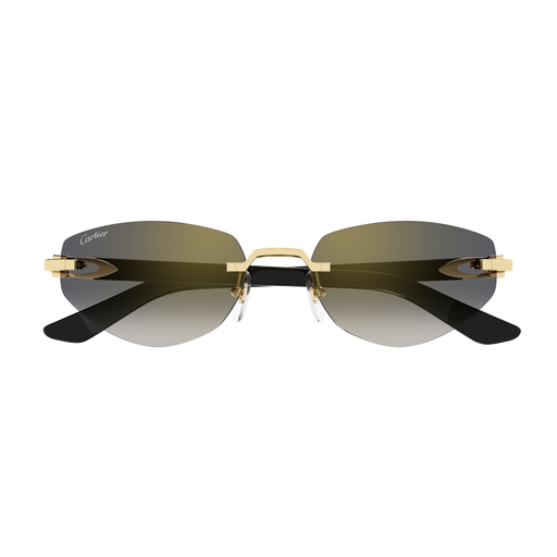 Cartier CT0580S 001 56