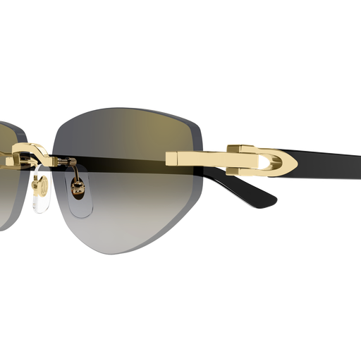 Cartier CT0580S 001 56