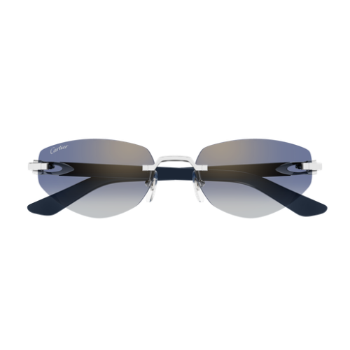 Cartier CT0580S 004 56