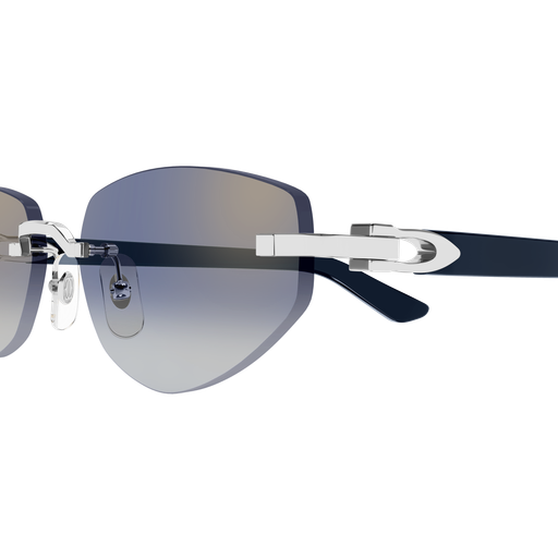 Cartier CT0580S 004 56