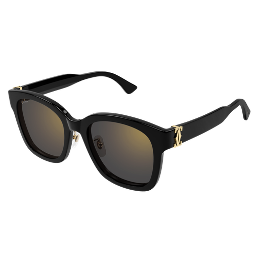 Cartier CT0589SA 001 54