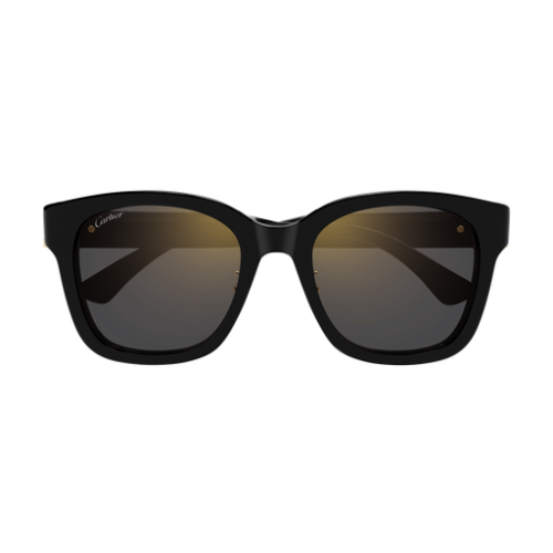 Cartier CT0589SA 001 54