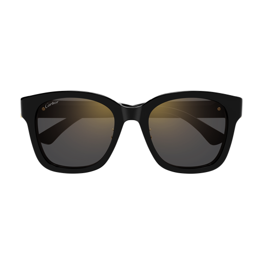 Cartier CT0589SA 001 54