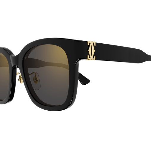 Cartier CT0589SA 001 54