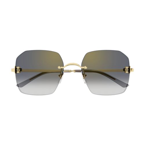 Cartier CT0591S 001 55