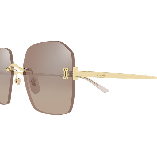 Cartier CT0591S 003 55