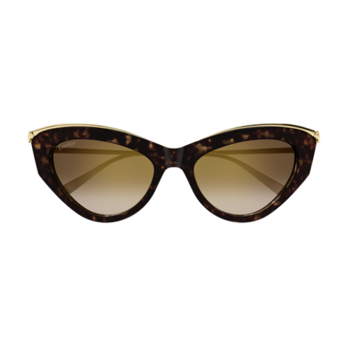 Cartier CT0596S 002 55