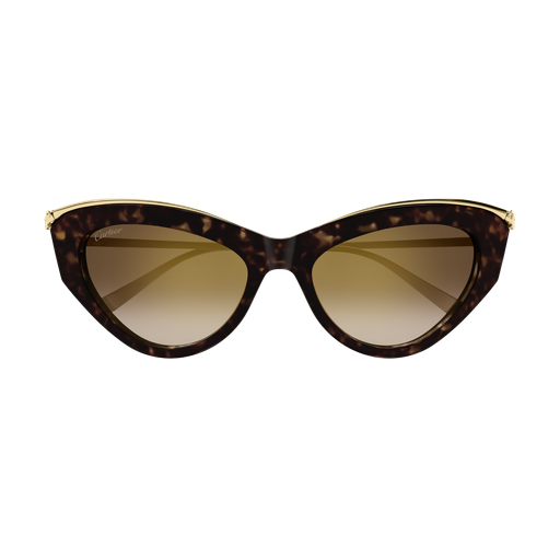 Cartier CT0596S 002 55