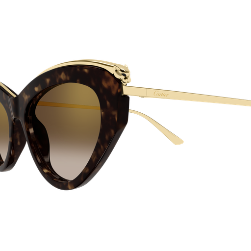 Cartier CT0596S 002 55