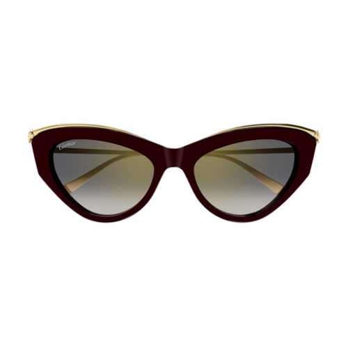 Cartier CT0596S 004 55