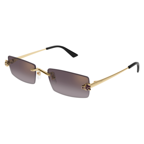 Cartier CT0598S 005 55