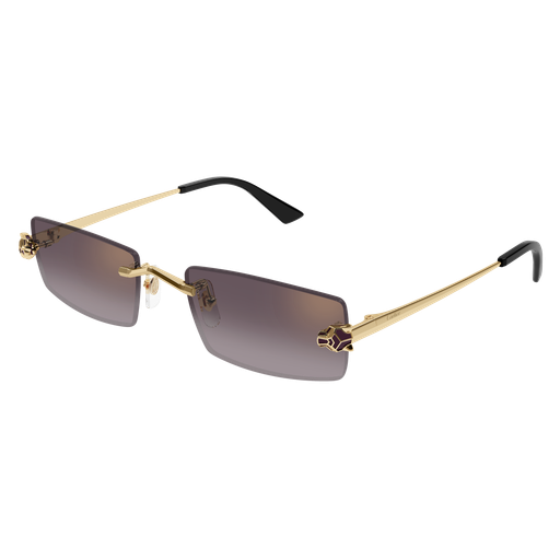 Cartier CT0598S 005 55