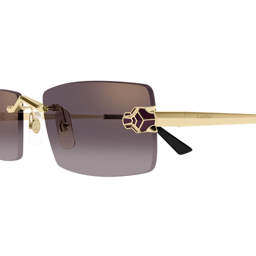 Cartier CT0598S 005 55