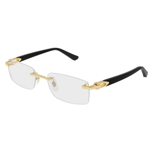 Cartier CT0607OJ 001 53