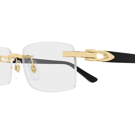 Cartier CT0607OJ 001 53