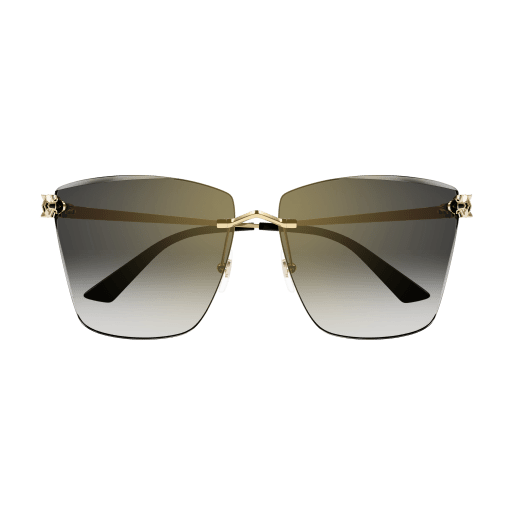 Cartier CT0397S 001 51