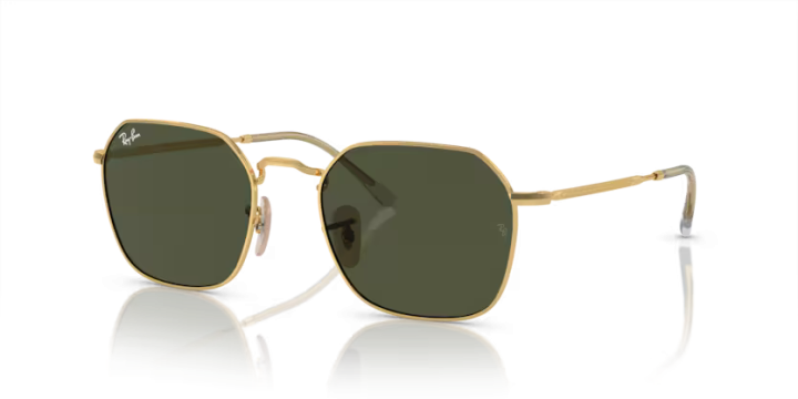 Ray-Ban RB3694 001/31 55