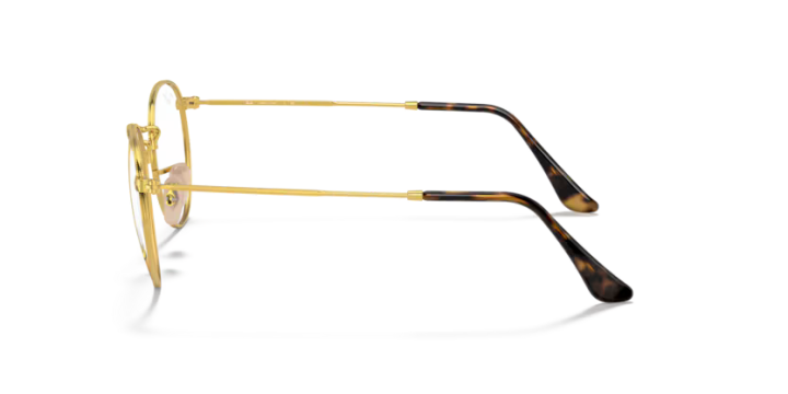 Ray-Ban RX3447V 2500 50