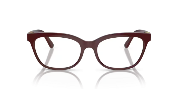 Dolce &amp; Gabbana DG5106U 3091 54