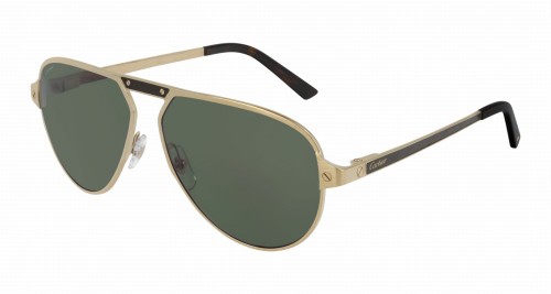 Cartier CT0101S 006 60