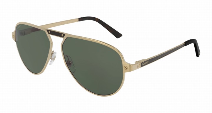 Cartier CT0101S 006 60