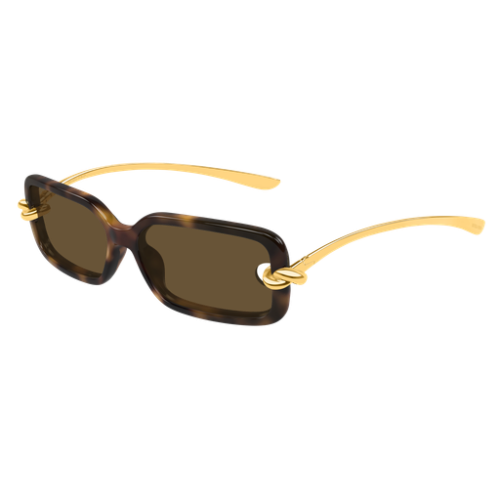 Bottega Veneta BV 1439S 002 56